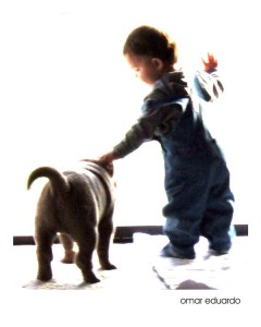 κοινωνικοποίηση σκύλων