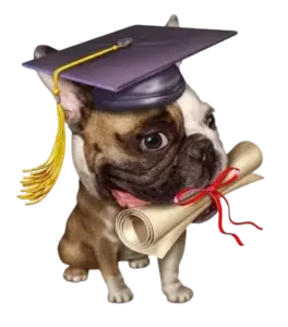 εκπαίδευση σκύλων στην αθηνα